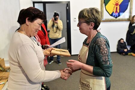 Deseta državna razstava strukljev (12)